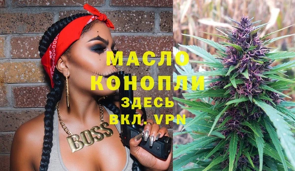 гашик Алексеевка