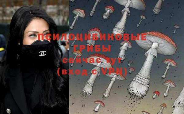 скорость Алзамай