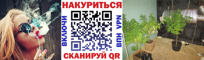МАРИХУАНА VHQ ОМГ ОМГ как войти Циолковский